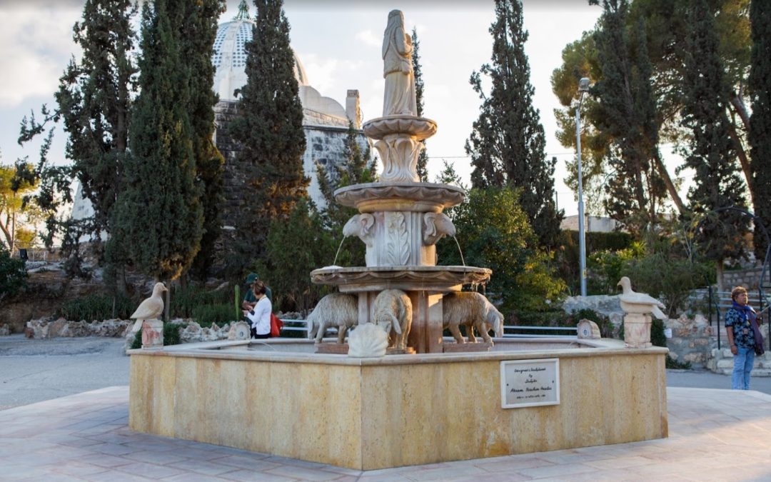 The Shepherds’ Field | 2.3 km