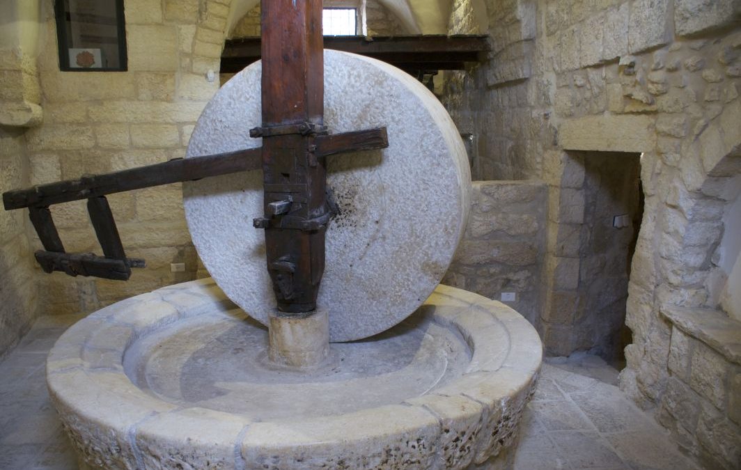 Al Bad Museum | 0.3 km